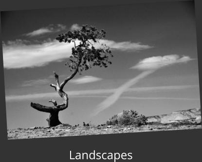 Landscapes